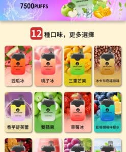 【VAPOR STORM 風暴】風暴一次性拋棄式電子菸 7500口 5%含量尼古丁 🍬台灣現貨