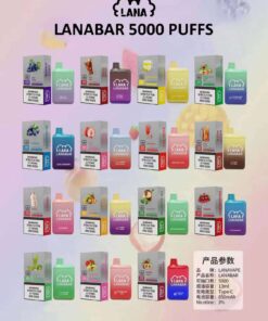 LANA5000口-拉娜拋棄式電子菸-一次性電子煙-官方正品-台灣現貨